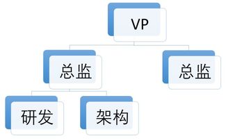 五維協同 研發、產品、架構、業務與項目管理下的多元組織架構建設與市場營銷策略融合
